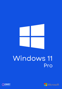 Windows 11 Pro