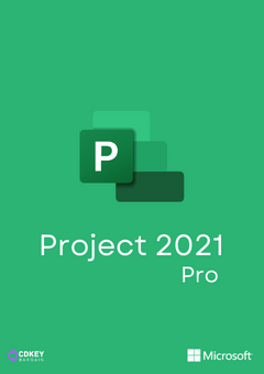 Microsoft Project Professional 2021